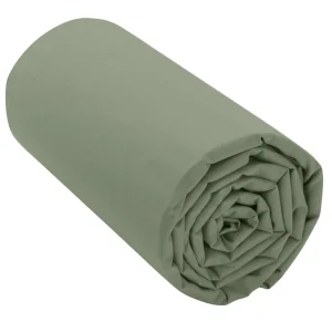 Blancheporte Drap-housse Irrétrécissable Uni Coton 7
