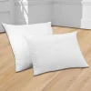 Oreiller Antiacarien Dodo® Proneem® Moelleux 10