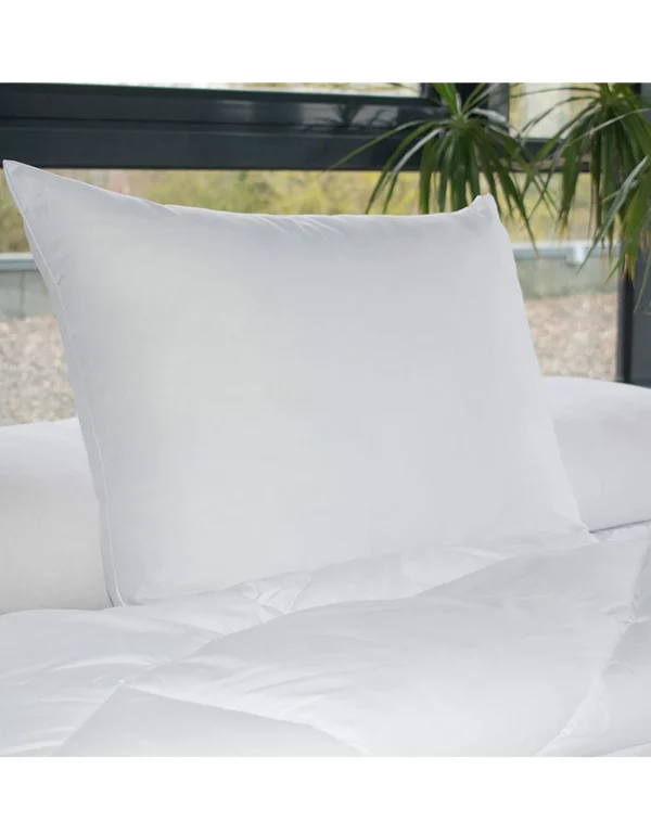 Blancheporte Oreiller Anti-transpiration En Microfibre Passerelle® – Moelleux 1