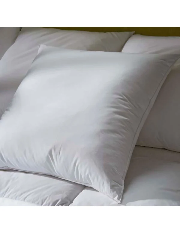 Blancheporte Oreiller Duvet Et Plumettes Enveloppe Coton Antitaches – 800g 1
