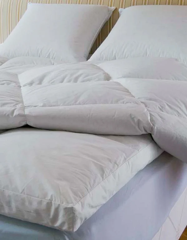 Blancheporte Surmatelas Tranquilité Garnissage Naturel 1